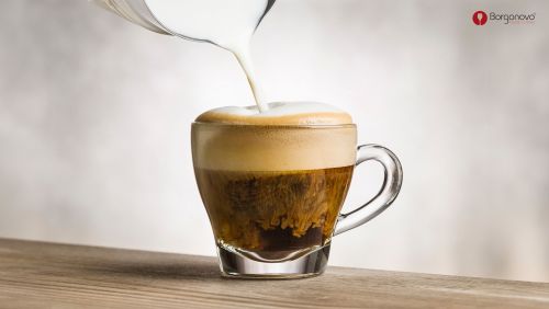 image?src=%7B%22file%22%3A%22wp content%2Fuploads%2F2024%2F06%2Fischia cappuccino 180 borgonovo