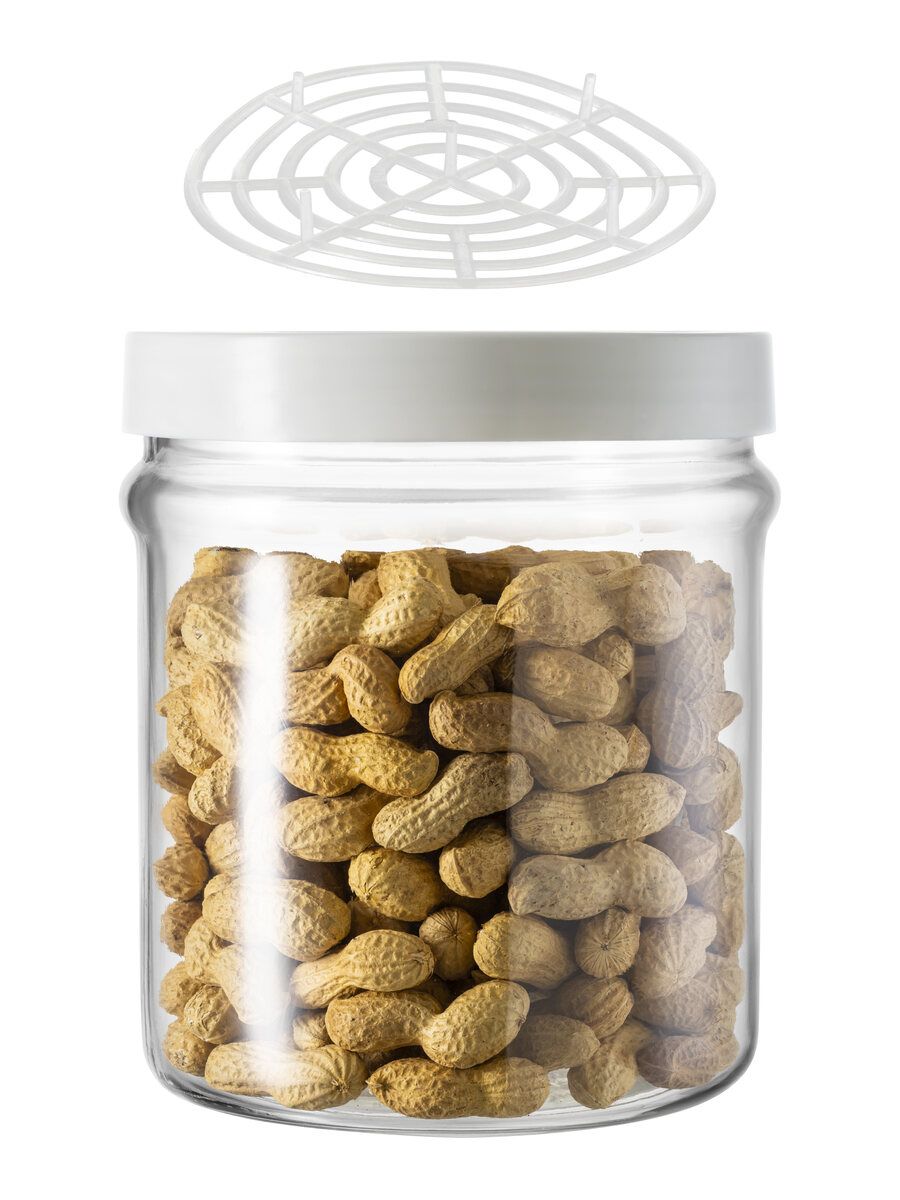 ortes20350020vite20t.pl .bianco2020pressello 1730732620piena 10 058b85d0