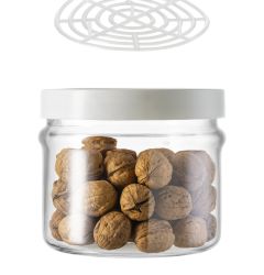 ortes20250020vite20t.pl .bianco2020pressello 1730912620piena 10 33771f0f