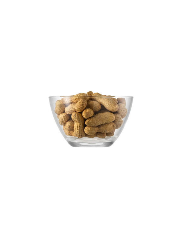 Palladio 14 bowl
