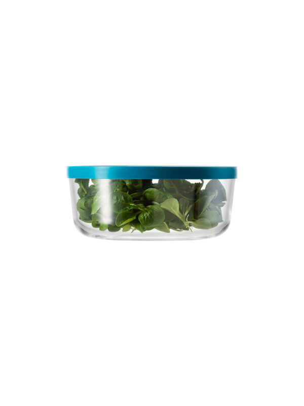Igloo 18 light blue lid