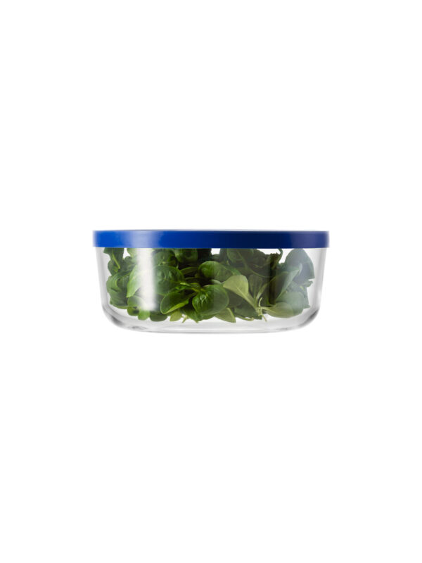Igloo 18 light blue lid - Image 3
