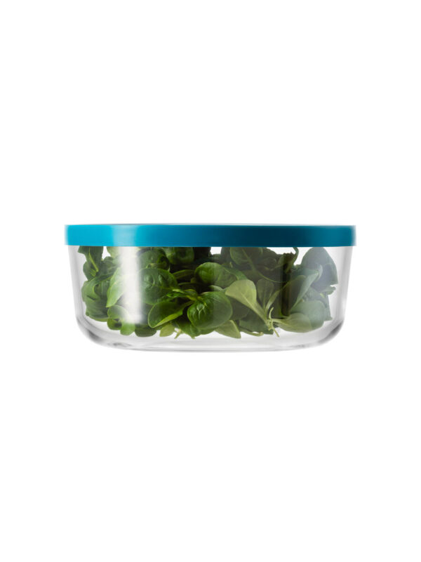 Igloo 21,5a light blue lid