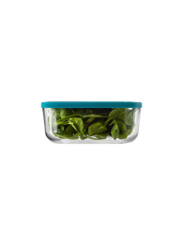 Square igloo 18,5 l.blue lid