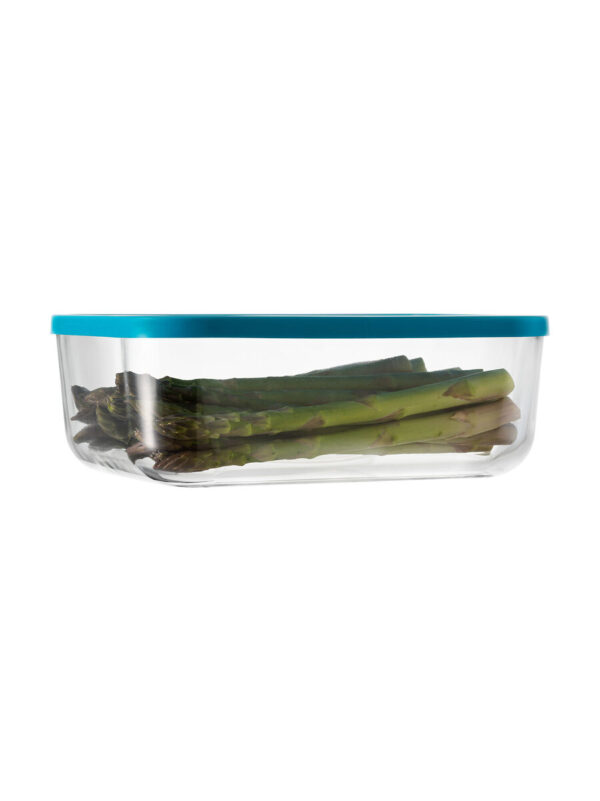 Rect.igloo 23 l.blue lid