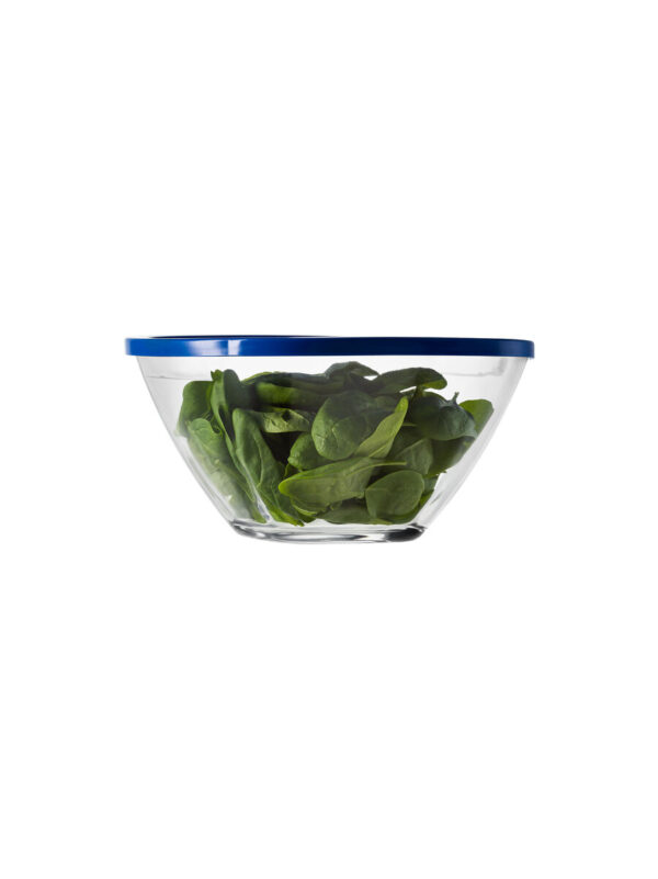 Bowl magic 19 blue lid