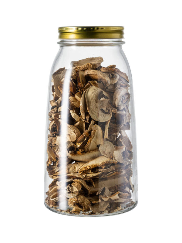 Jar flexy2000 gold lid