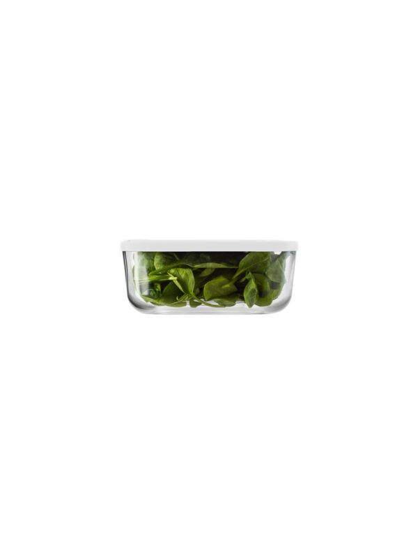 Igloo quadro 15 t.pl.azz. - immagine 4